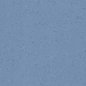 6529Surf