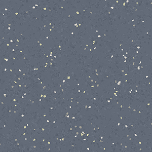 2942EveningBloom